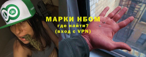 твердый Арсеньев