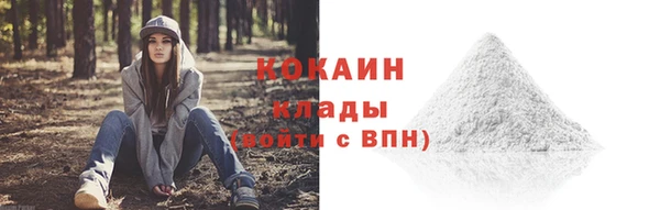 твердый Арсеньев